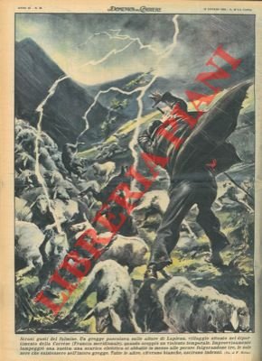 Scarica elettrica si abbatte in mezzo a un gregge di …