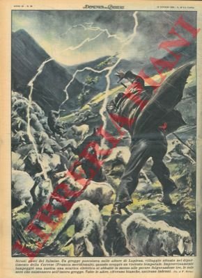 Scarica elettrica si abbatte in mezzo a un gregge di …