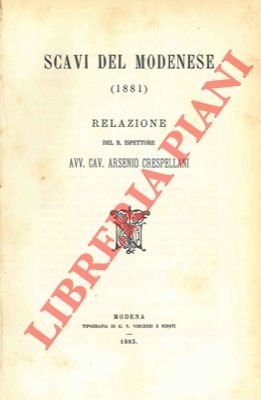 Scavi del modenese (1881). Relazione. | Immagine Gallery 2