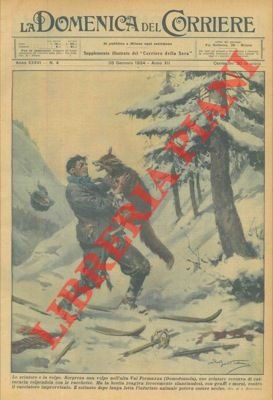 Sciatore viene sorpreso da una volpe, presso Domodossola, e solo …