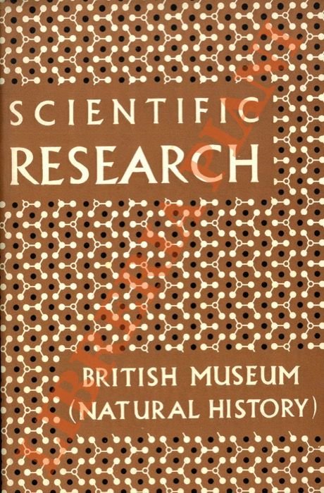 Scientific Research at the Natural History Museum.