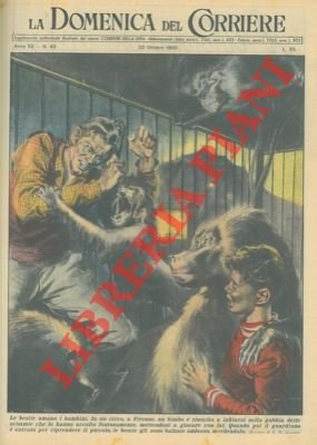 Scimmie mordono il guardiano che vuole riprendere un bambino entrato …