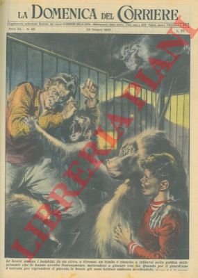 Scimmie mordono il guardiano che vuole riprendere un bambino entrato …