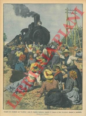 Sciopero di risaiuole nel vercellese.