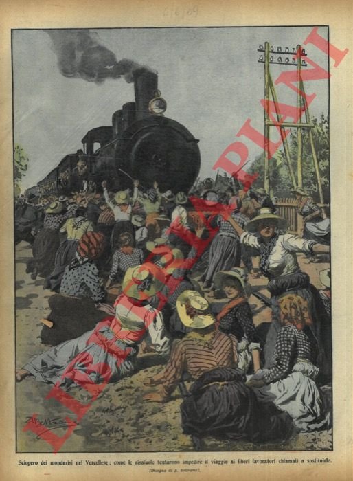 Sciopero di risaiuole nel vercellese.