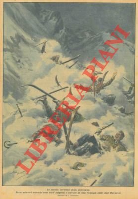 Sette sciatori sorpresi e travolti da una valanga sulle alpi …