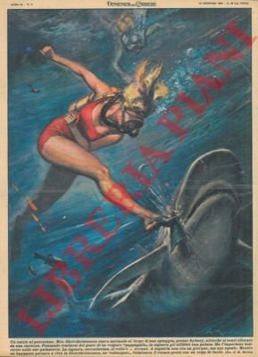 Signora che nuotava al largo di una spiaggia dava un … | Immagine Gallery 3