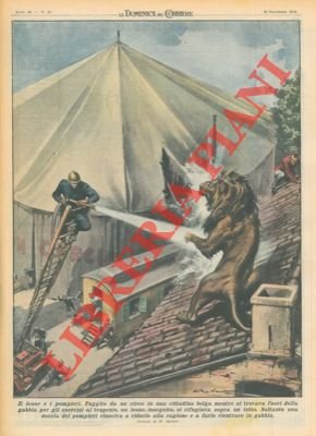 Solo l'intervento dei pompieri riusciva a ridurre alla ragione un …