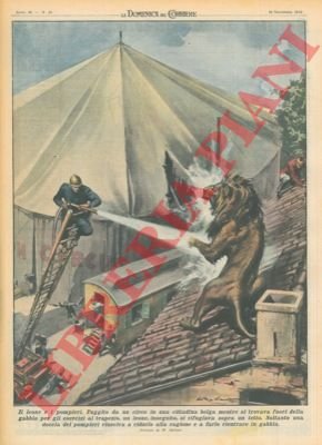 Solo l'intervento dei pompieri riusciva a ridurre alla ragione un …