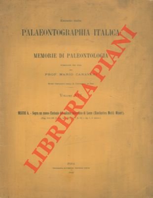 Sopra un nuovo Chelonio del calcare miocenico di Lecce. (Euclastes …