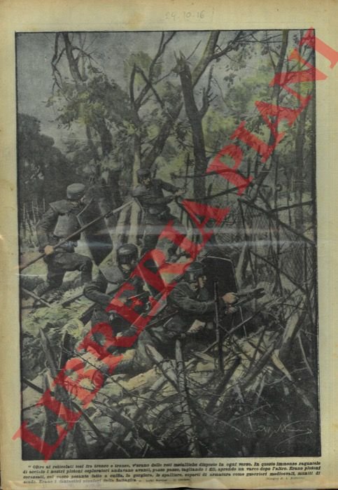 Squadre anti reticolato al lavoro.