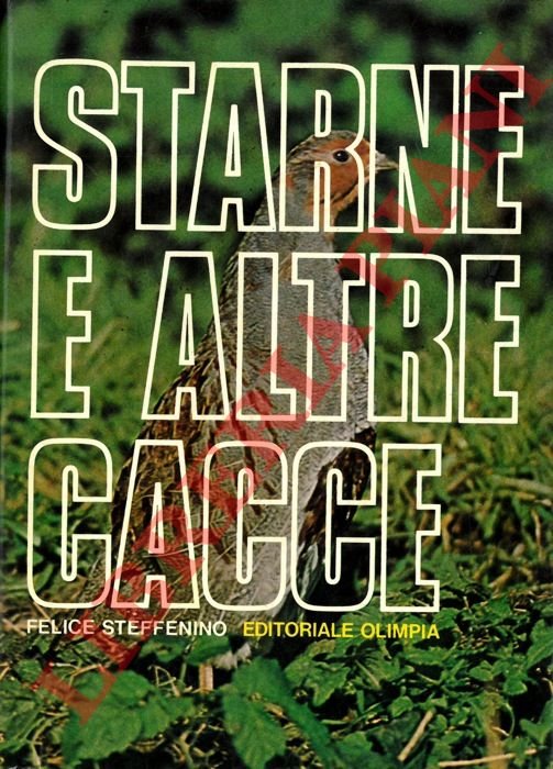Starne e altre cacce.