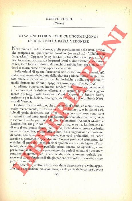 Stazioni floristiche che scompaiono: le dune della bassa Veronese. | Immagine Gallery 2