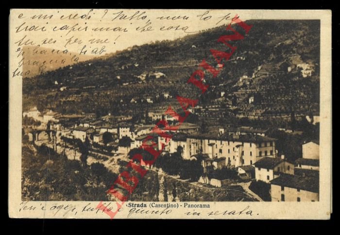 Strada (Casentino) Panorama - L'Istituto Salesiano visto dal Castello.