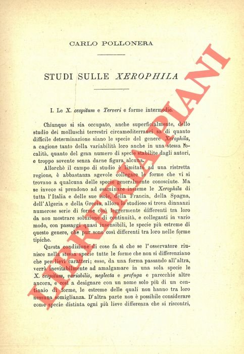 Studi sulle Xerophila.