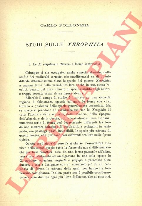 Studi sulle Xerophila.