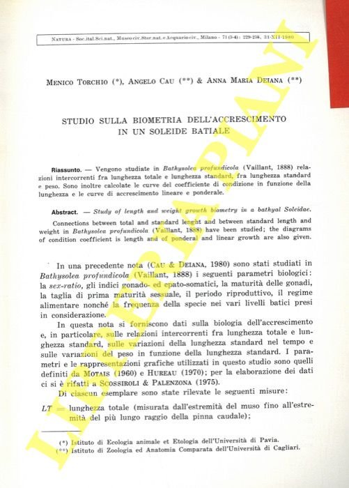 Studio sulla biometria dell'accrescimento in un soleide batiale.