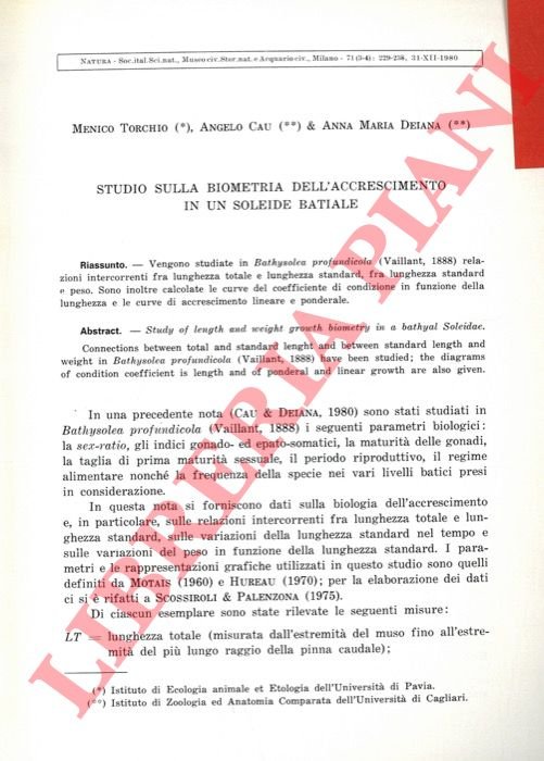 Studio sulla biometria dell'accrescimento in un soleide batiale.