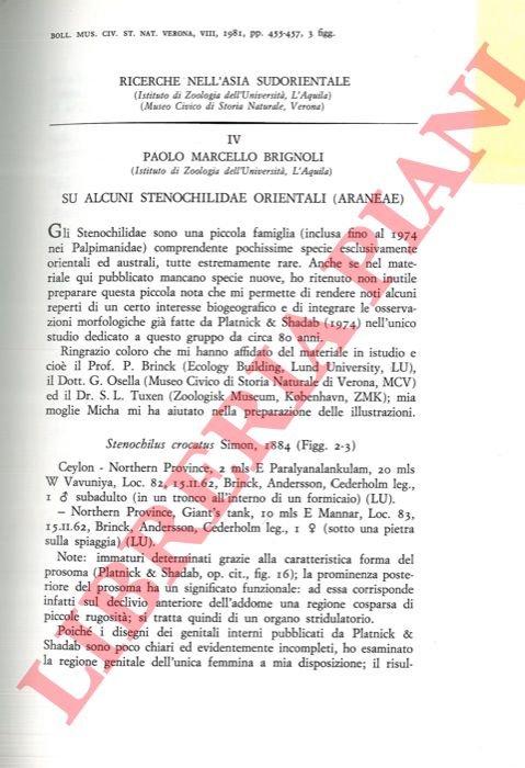 Su alcuni Stenochilidae orientali (Araneae) .