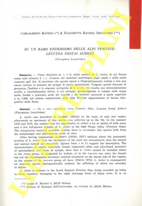 Su un raro endemismo delle Alpi Pennine: Leuctra festai Aubert …
