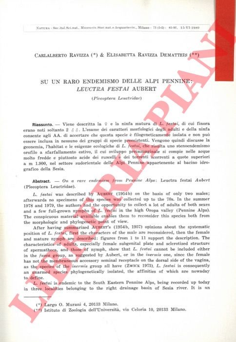 Su un raro endemismo delle Alpi Pennine: Leuctra festai Aubert …
