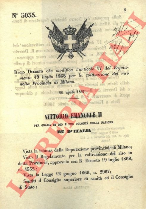 sua coltivazione del riso nella Provincia di Milano.