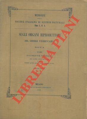 Sugli organi riproduttori del genere Verrucaria.