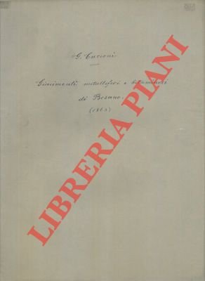 Sui giacimenti metalliferi e bituminosi nei terreni triasici di Besano.