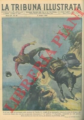 Sui monti di Viterbo lo scoppio di un pneumatico imbizzarriva …