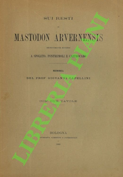 Sui resti di Mastodon arvernensis recentemente scoperti a Spoleto, Pontremoli …