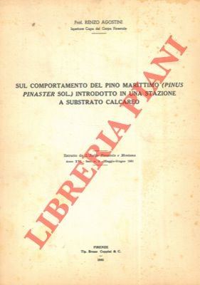 Sul comportamento del pino marittimo (Pinus pinaster Sol.) introdotto in …