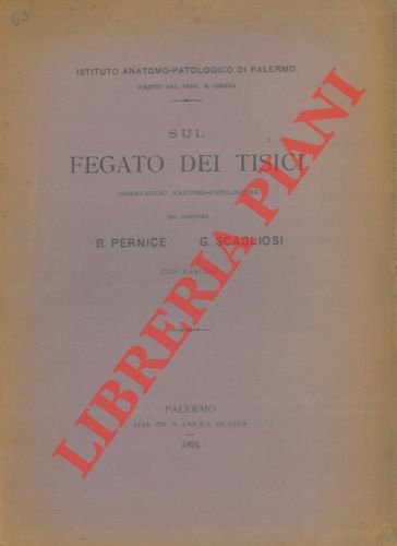 Sul fegato dei tisici.