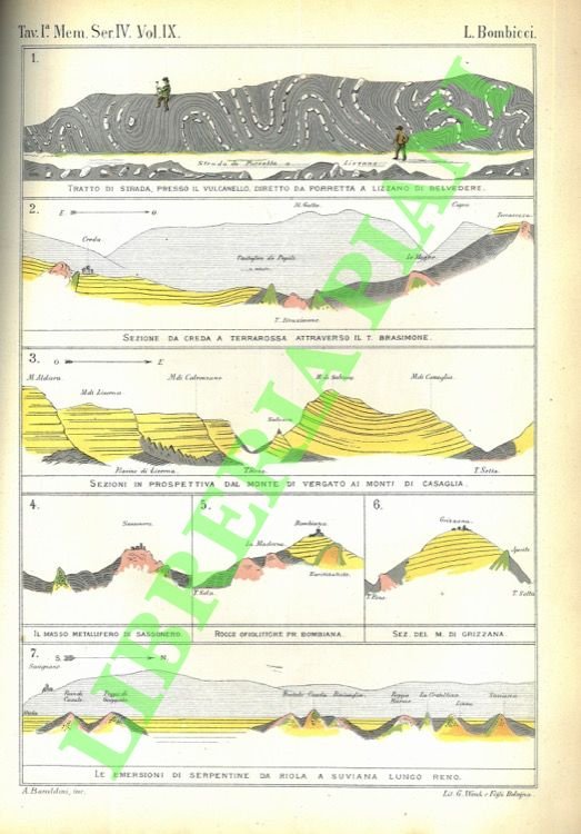 Sul giacimento e sul tipo litologico della roccia Oligoclasite di …