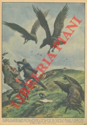 Sul Mottarone da dove si domina la vallata del Lago …