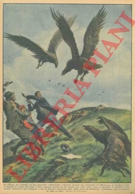 Sul Mottarone da dove si domina la vallata del Lago …