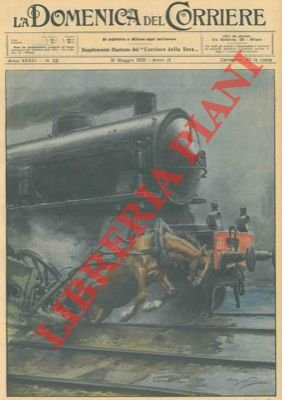 Sulla linea ferroviaria Casale-Mortara il treno in corsa ha investito …