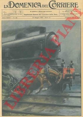 Sulla linea ferroviaria Casale-Mortara il treno in corsa ha investito …