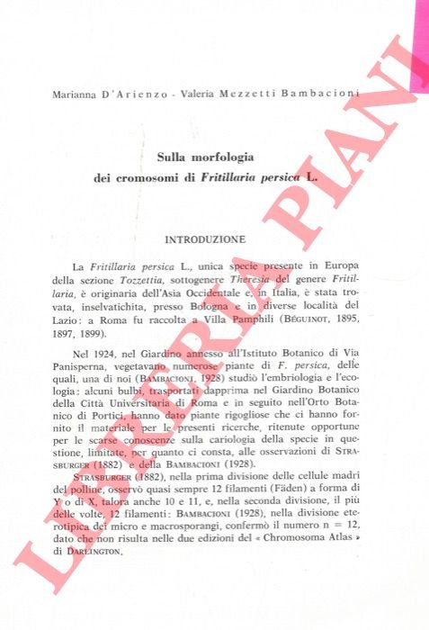 Sulla morfologia dei cromosomi di Fritillaria persica L. | Immagine Gallery 3