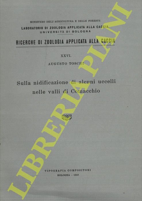 Sulla nidificazione di alcuni uccelli nelle valli di Comacchio. | Immagine Gallery 2