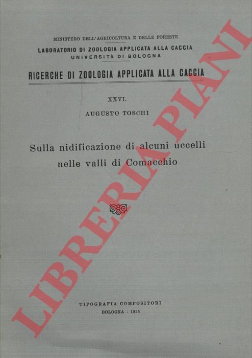 Sulla nidificazione di alcuni uccelli nelle valli di Comacchio. | Immagine Gallery 3
