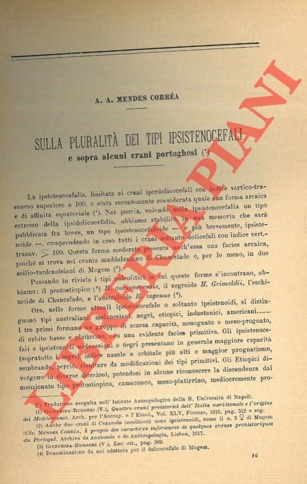 Sulla pluraltà dei tipi ipsistenocefali e sopra alcuni crani portoghesi.