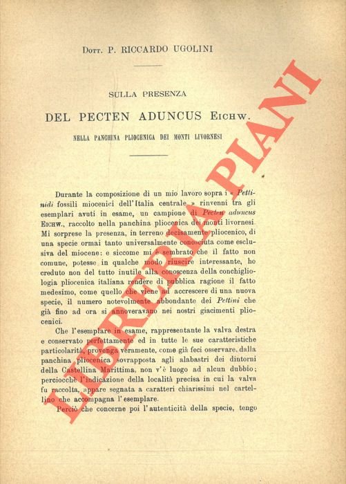 Sulla presenza del Pecten aduncus Eichw. nella panchina pliocenica del …
