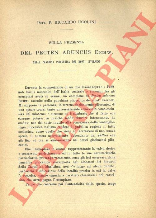 Sulla presenza del Pecten aduncus Eichw. nella panchina pliocenica del …