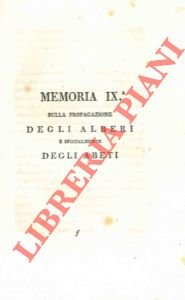 Sulla propagazione degli alberi e specialmente degli abeti.