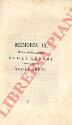 Sulla propagazione degli alberi e specialmente degli abeti.