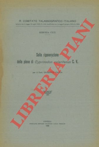 Sulla rigenerazione delle pinne di Cyprinodon calaritanus C.V.