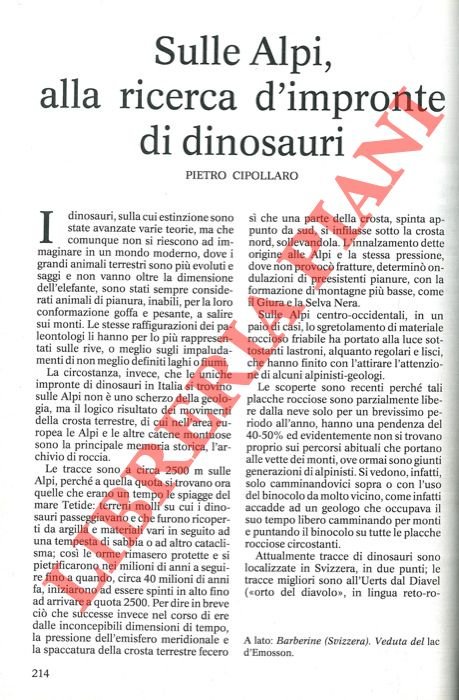 Sulle Alpi, alla ricerca d'impronte di dinosauri.