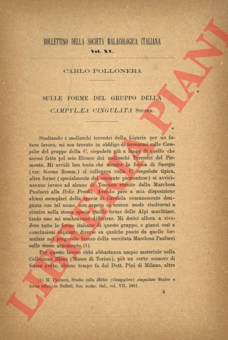 Sulle forme del gruppo della Campylaea cingulata Studer.