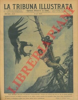 Sulle Montagne Rocciose, un operatore cinematografico, recatosi per ritrarre dal …