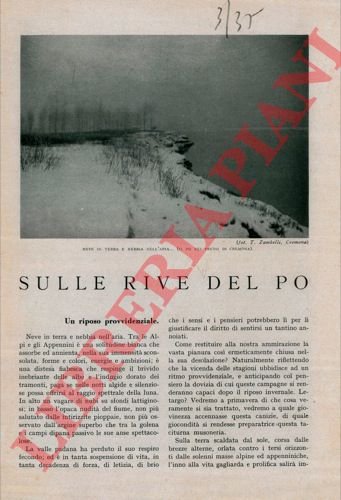 Sulle rive del Po. | Immagine Gallery 3
